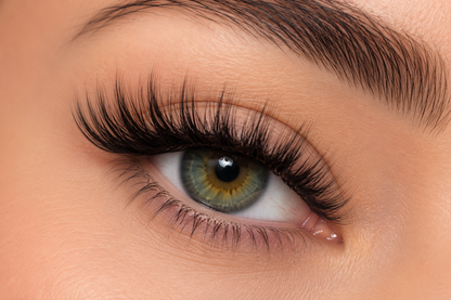 Kit de Cils Magnétiques - Lashly