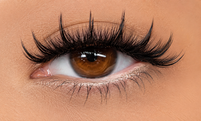 Kit de Cils Magnétiques - Lashly