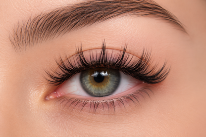 Kit de Cils Magnétiques - Lashly