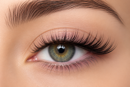 Kit de Cils Magnétiques - Lashly