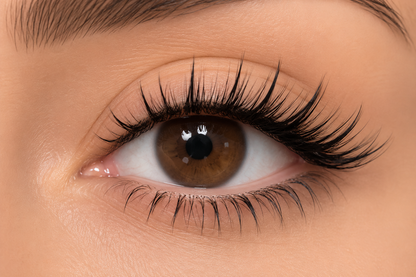 Kit de Cils Magnétiques - Lashly